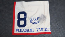 Load image into Gallery viewer, 1989 Pleasant Variety Golden Gate Handicap Grade 2 Race Used Worn Saddle Cloth