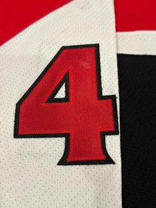 2006-07 Patrick Eaves Ottawa Senators Game Used Worn NHL Hockey Jersey! MeiGray