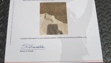 Load image into Gallery viewer, 1996-97 Wayne Gretzky New York Rangers Game Used Worn Gator Undershirt! Jersey