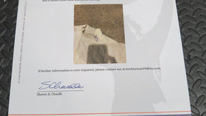 1996-97 Wayne Gretzky New York Rangers Game Used Worn Gator Undershirt! Jersey