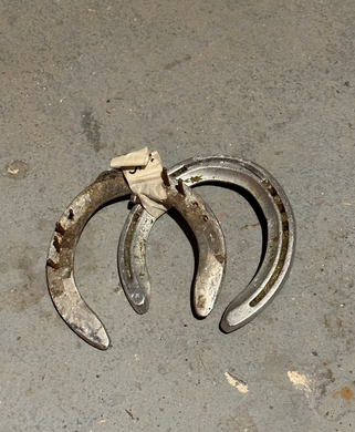 Sugar Shack Darby Dan Farm Racehorse Used Worn Horse Shoes Horseshoe Shackleford