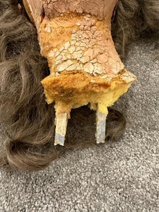 1997 Titanic Screen Used Authentic Movie Prop Dummy Head! Planet Hollywood COA