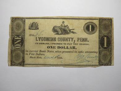 $1 1838 Black Hole Pennsylvania PA Obsolete Currency Bank Note Lycoming County