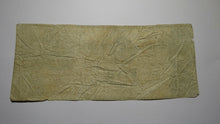 Load image into Gallery viewer, $5 1837 Saline Michigan MI Obsolete Currency Bank Note Bill! Bank of Saline