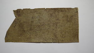 $3 1847 Paterson New Jersey Obsolete Currency Bank Note Bill People's Bank