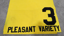 Load image into Gallery viewer, Pleasant Variety Horse Race Used Worn Stakes Saddle Cloth Great Usage 1980-90's