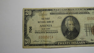 $20 1929 Amenia New York NY National Currency Bank Note Bill Charter #706 VF