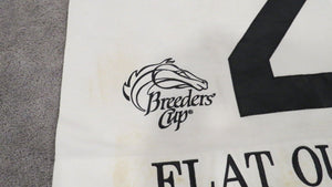 2011 Flat Out Breeder's Cup Classic Churchill Downs Race Used Worn Saddle Cloth!