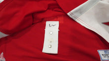 Load image into Gallery viewer, 2008 Scott Gomez New York Rangers Eastern Conf. Game Used Worn NHL Hockey Jersey
