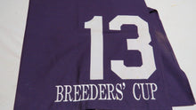 Load image into Gallery viewer, 1989 Pleasant Variety Breeder&#39;s Cup Turf Grade 1 Race Used Worn Saddle Cloth!