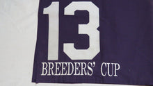 Load image into Gallery viewer, 1989 Pleasant Variety Breeder&#39;s Cup Turf Grade 1 Race Used Worn Saddle Cloth!