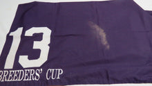 Load image into Gallery viewer, 1989 Pleasant Variety Breeder&#39;s Cup Turf Grade 1 Race Used Worn Saddle Cloth!
