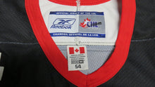 Load image into Gallery viewer, 2005-06 Sean Ryan Ottawa 67's Game Used Worn OHL Hockey Jersey! Sebas Patch CHL