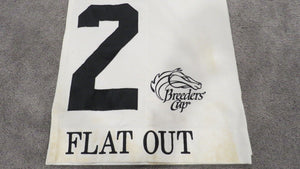 2011 Flat Out Breeder's Cup Classic Churchill Downs Race Used Worn Saddle Cloth!