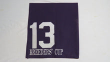 Load image into Gallery viewer, 1989 Pleasant Variety Breeder&#39;s Cup Turf Grade 1 Race Used Worn Saddle Cloth!